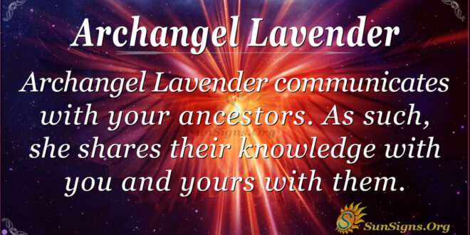 Archangel Lavender