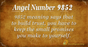 9852 angel number