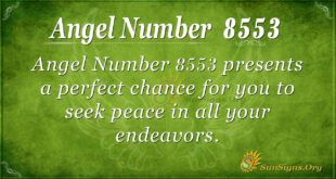 8553 angel number