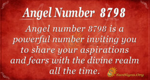 8798 angel number