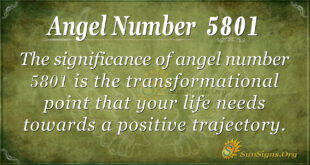 5081 angel number