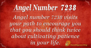 7238 angel number