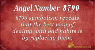 8790 angel number