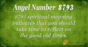 8793 angel number