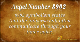 8902 angel number