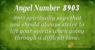 8903 angel number