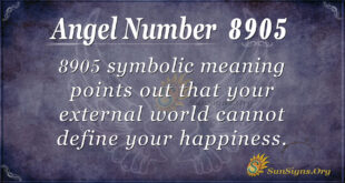 8905 angel number