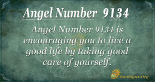 9134 angel number