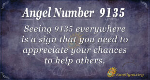 9135 angel number