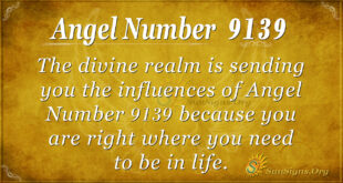 9139 angel number