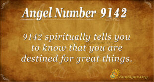 9142 angel number