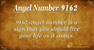 9162 angel number