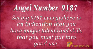 9187 angel number