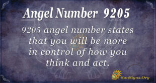 9205 angel number