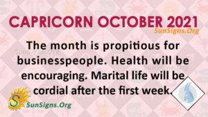 capricorn horoscope sunsigns predictions