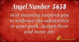 5658 angel number