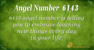 Angel Number 6143