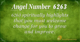 6263 angel number