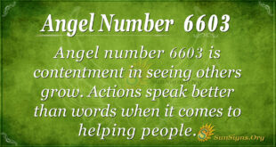 6603 angel number