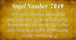 7049 angel number