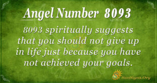 8093 angel number