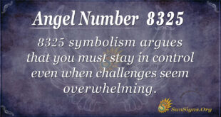 8325 angel number