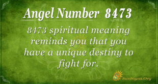 8473 angel number