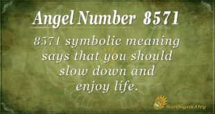 8571 angel number