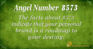 8573 angel number