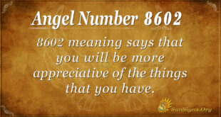 8602 angel number