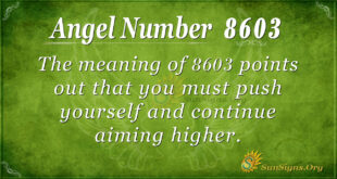 8603 angel number