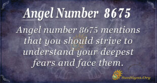 8675 angel number