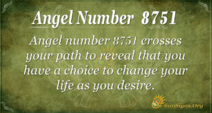 8751 angel number