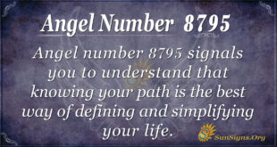 8795 angel number