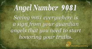 9081 angel number