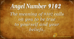 9102 angel number