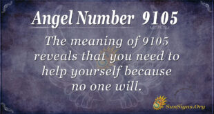 9105 angel number