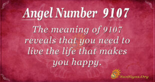 9107 angel number