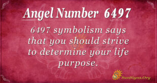 6497 angel number