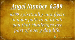 6509 angel number