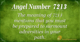 7213 angel number