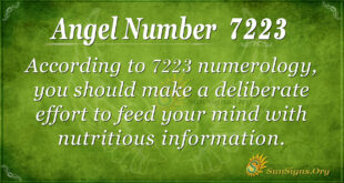 7223 angel number