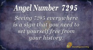 7295 angel number