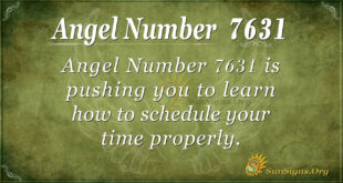 7631 angel number