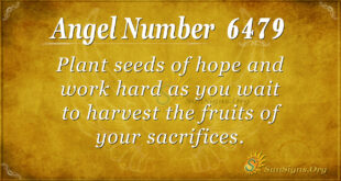 6479 angel number