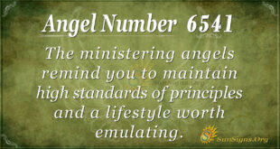 6541 angel number