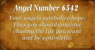 6542 angel number