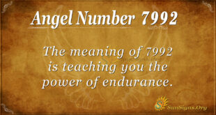 7992 angel number