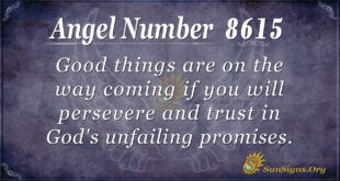 8615 angel number