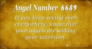 6689 angel number